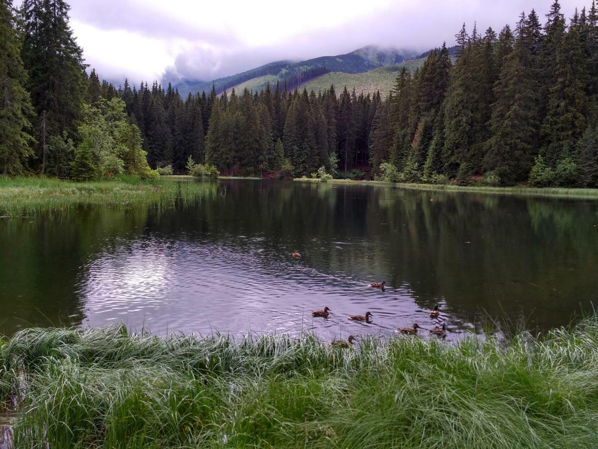 Chalet 3 Domky 182 Demänovská Dolina Dış mekan fotoğraf